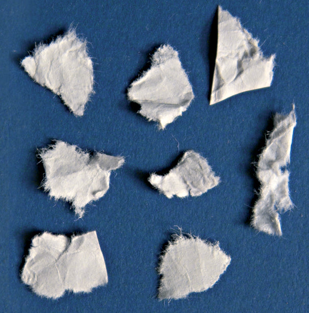 Kobra Cyclone Industrial Shredder