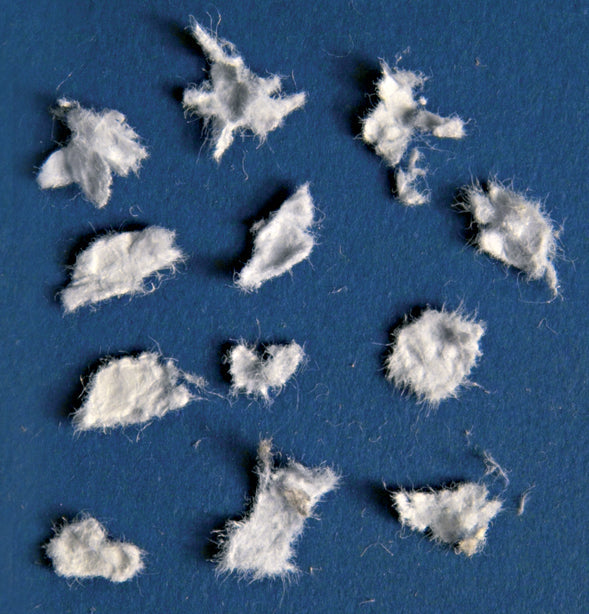 Kobra Cyclone Industrial Shredder